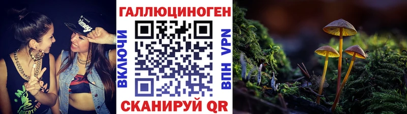 цены   Гай  Галлюциногенные грибы Psilocybine cubensis 