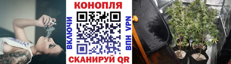 МАРИХУАНА тримм  Гай 
